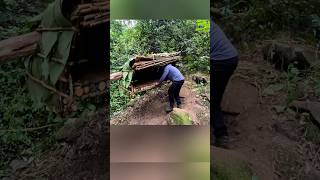 Make A Shelter Hanging On A Tree To Survive Alone In The Forest bushcraft camping camp building [upl. by Sioled46]