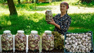 Storing Fresh Garlic collected from the harvest for the winter How to pickle garlic in the village [upl. by Akfir]