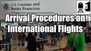 What is the Arrival Procedure on an International Flight [upl. by Anoli]