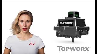 Topworx DXS Switch Box [upl. by Ludwigg883]