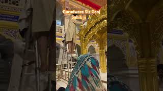 Gurudwara Sis Ganj Sahib darbarsahib waheguru sisganjsahiblive shabadkirtan 🙏 [upl. by Aronael]