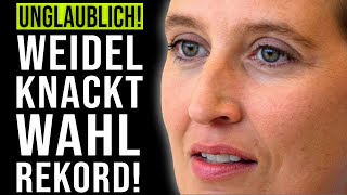 🚨WAHLHAMMER WEIDEL KNACKT URALTREKORD AfD ÜBERHOLT CDU IN UMFRAGEN🚨 [upl. by Perlis401]