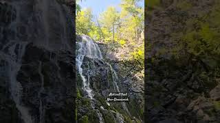 Maliseet trail NewBrunswick 💜 waterfall canada nature beautiful shortsvideo [upl. by Regor]