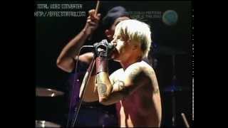 Red Hot Chili Peppers  Otherside live at Big Day Out 2000 [upl. by Hawley]