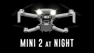 NIGHT Flying the DJI Mini 2  How good is the Camera [upl. by Maze895]