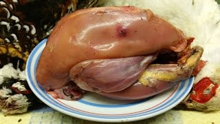 How To Prepare A PheasantMethod 2 SkinningTheScottReaProject [upl. by Anahsar449]