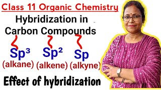 hybridizationhybridization in carbon compounds sp³sp² and sp hybridizationClass 11 Chemistry [upl. by Enahs]