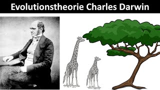 Evolutionstheorie nach Charles Darwin Prinzip der natürlichen Selektion  Biologie Oberstufe [upl. by Lura925]