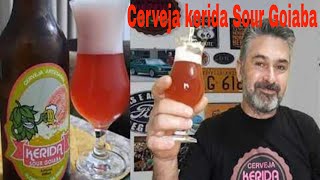 Catharina Sour de Goiaba do Manezinho Cervejeiro [upl. by Erdna315]