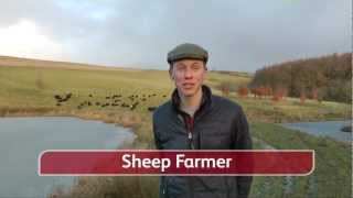 A Spotlight on Sheep Farming with Gareth Barlow [upl. by Toole]