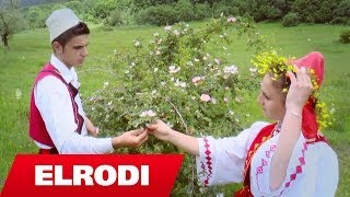 Gjovalin Prroni  Pikon loti per dashuri Official Video HD [upl. by Drue]