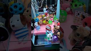 New Awesome Prices From The Claw Machine [upl. by Bartholomew]