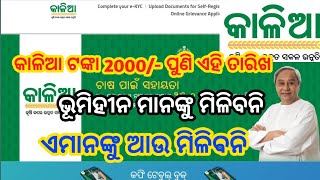 Kalia yojana next money transfer date 2024  kalia yojana new update 2024  kalia yojana today news [upl. by Anevad]