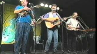 Seldom Scene 1996  quotOur Last Goodbyequot [upl. by Wakeen985]