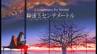 5 Centimeters Per Second A Detailed Anime Movie Review [upl. by Gabbie]