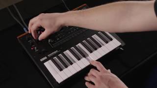 Korg monologue Video Overview Part 1 Oscillators with CC [upl. by Zitah]