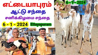 6  1  2024  எட்டையாபுரம் ஆட்டு சந்தை  Ettayapuram Goat Sheep Market tamilvivasayi [upl. by Zebadiah110]