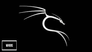 KALI LINUX WHOIS 2018 [upl. by Illek]