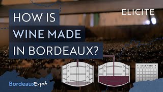 Red Winemaking in Bordeaux Explained [upl. by Leeland403]