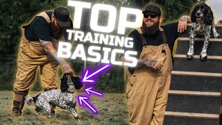 5 Dog Training Basics You Need For You And Your Dog [upl. by Ealasaid840]