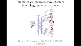 Autonomic Nervous System Physiology and Pharmacology  Overview [upl. by Sulihpoeht580]