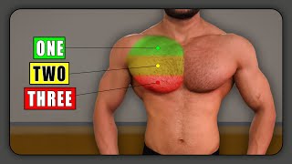 The Secret to Chiseled COMPLETE chest with these 5 exercises [upl. by Leihcim648]