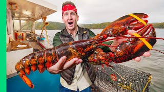 How Lobstermen Trap Giant Lobsters in Maine [upl. by Mischa]