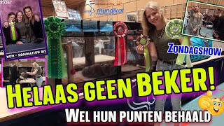 Nog een KATTENSHOW van MUNDIKAT Opeens is FAY in de SPOTLIGHT bij de KEURMEESTERS Super GOED 3367 [upl. by Annahsad]