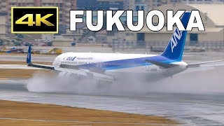 4K Plane spotting at Fukuoka Airport on January 18 2024  福岡空港  Fairport [upl. by Ferree]