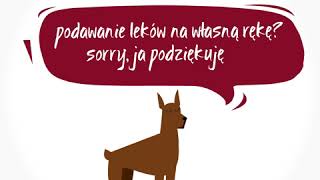 Nie dla psa fajerwerki  Uniwersytet Przyrodniczy we Wrocławiu [upl. by Odnalro420]