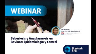 Babesiosis y Anaplasmosis en Bovinos Epidemiologia y Control  Webinar  Biogénesis Bagó [upl. by Alyos]