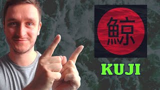 Kujira Blockchain  KUJI Crypto Review [upl. by Ispep]