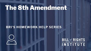 The Eighth Amendment  BRIs Homework Help Series [upl. by Assetan]