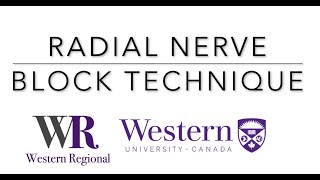 Radial nerve block ultrasound nerveblock pain anesthesia [upl. by Bridie]