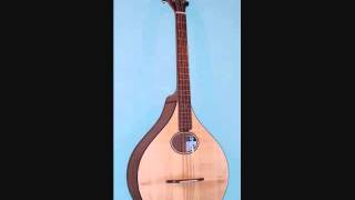 Far Away Waltz amp Ten Penny Bit Irish Jig on a Fellenbaum Octave Mandolin [upl. by Diantha]