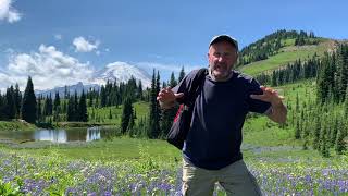 Identifying Mount Rainier National Park Wildflowers [upl. by Sadinoel788]