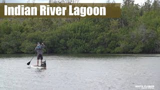 Paddleboard Fishing the Florida Indian River [upl. by Larual]