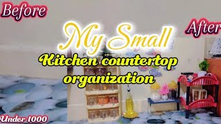 How I Organized My Small Kitchen countertop  kitchen Organized Ideas Best Kitchen Organizer [upl. by Fritzie]