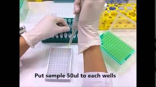 Brucella strip test procedure [upl. by Cassella557]