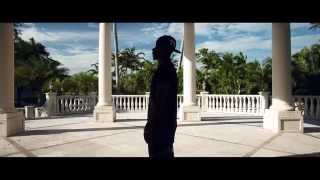 FUSE ODG  Dangerous Love ft Sean Paul Official Music Video [upl. by Hsiwhem695]