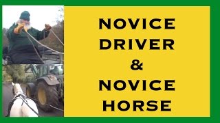 Should a novice driver have a novice horse [upl. by Lonna]