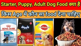 Puppy Starter Puppy adult dog food kya hai  dog food  dog food pedigree  pedigree [upl. by Fevre144]