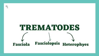 Fasciola Hepatica  Liver Fluke  Fasciolopsis buski  Heterophyes heterophyes  Intestinal Fluke [upl. by Ofloda895]