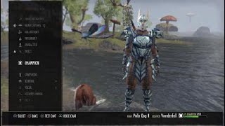 ESO My Current Nord Warden PVE Tank Build Plague Doctor Torugs Pact 2020 [upl. by Campman]