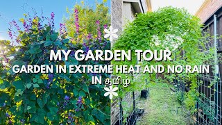 My Summer Garden 2022  Texas Indian vegetable garden  Tamil vlog [upl. by Howlan745]