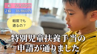 【誰も教えてくれなかった話】特別児童扶養手当って？まさかの申請が通りました [upl. by Jackie399]