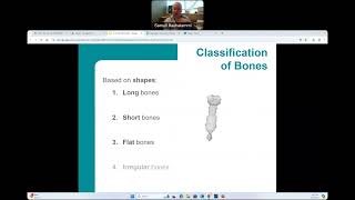 CG  BIO160  Skeletal System [upl. by Eicyaj]