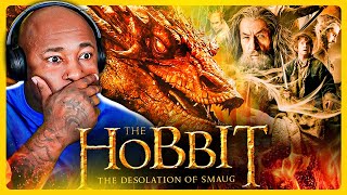 FINALLY Watching The Hobbit THE DESOLATION OF SMAUG the FIRST TIME  Movie Reaction [upl. by Lerej]