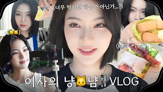 채영이의 Vlog 4  너무 먹기만 하는 거 아닌가 이사의 냥🐱냠 Vlog [upl. by Netsrek58]