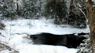 Gateway Creek on the Fen Lake Ski Trail  Algonquin Park [upl. by Ylebmik]